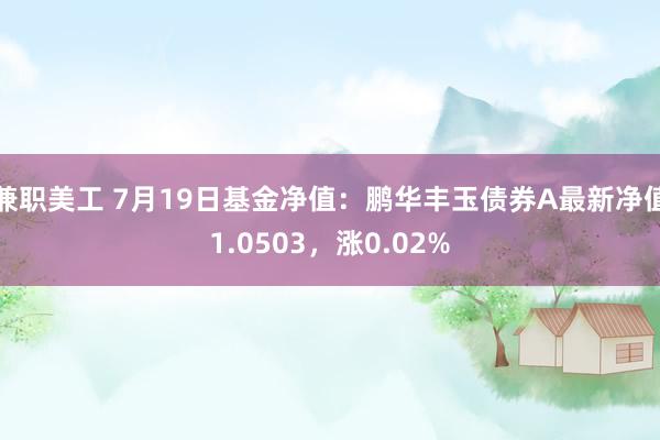 兼职美工 7月19日基金净值：鹏华丰玉债券A最新净值1.0503，涨0.02%